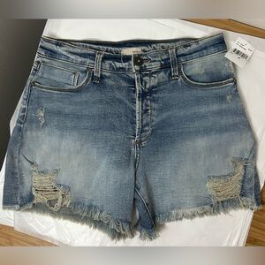 NWT EDYSON DELON HIGH RISE SHORT IN MEDIUM CAMDEN WASH